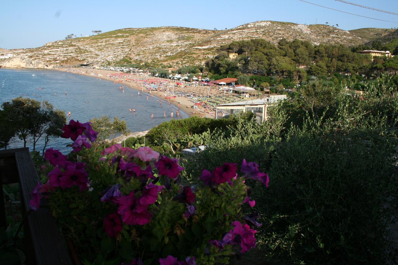 Albergo"Villa Biscotti" Peschici Bagian luar foto